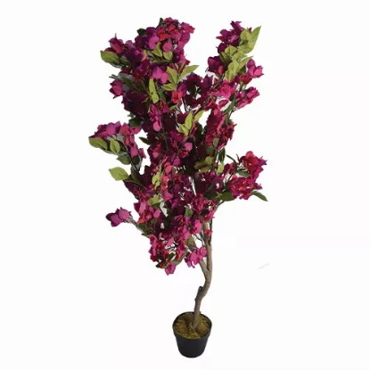 صورة شجرة HUD25013