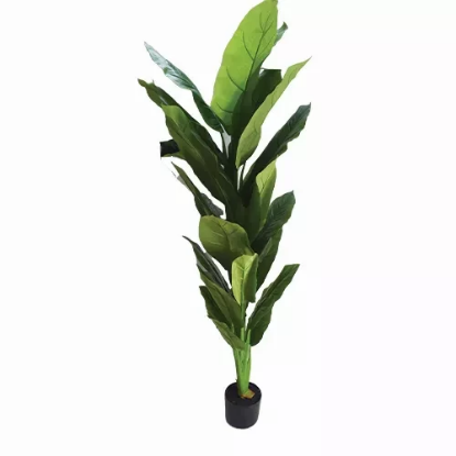 صورة شجرة HUD24974-1