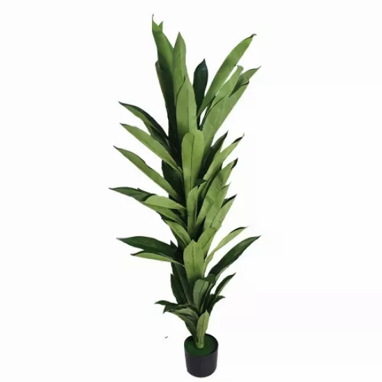 صورة شجرة HUD25080