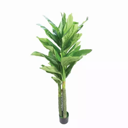 صورة شجرة HUD25287