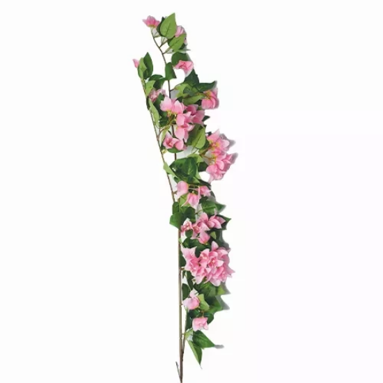 صورة زهور HUD23520