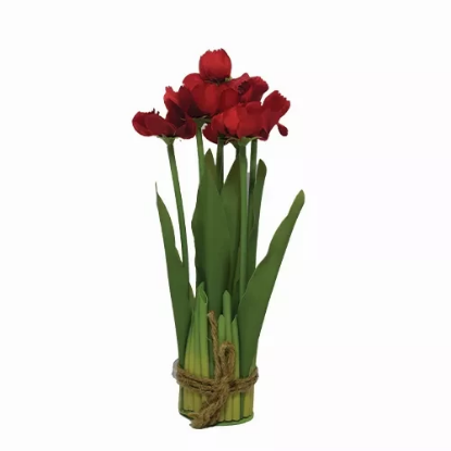 صورة زهور HUD23508