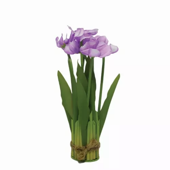 صورة زهور HUD23508