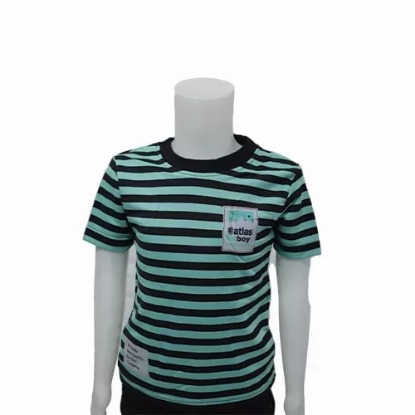 صورة تيشيرت ( مقلم )