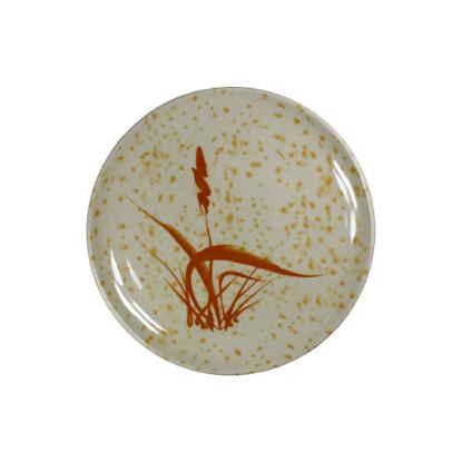 صورة صحون رقم 12