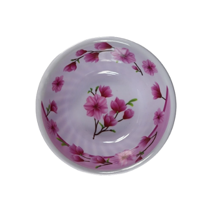 صورة صحون رقم 3