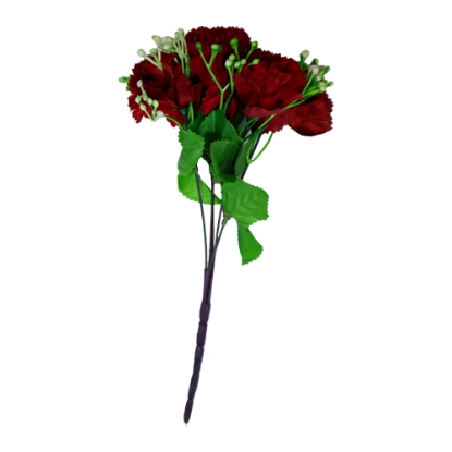 صورة ورد منوع