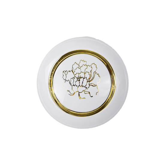 صورة مروحة سقف ZY-56-N AC/DC