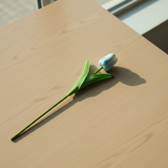 صورة ورد توليب 1-747