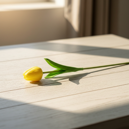 صورة ورد توليب 1-747