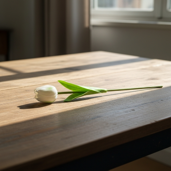 صورة ورد توليب 1-747