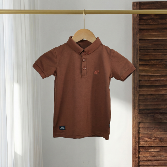 صورة تيشيرت دولو 2-12