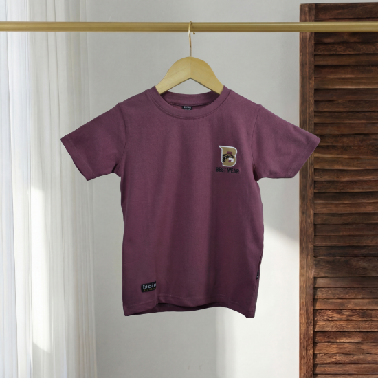 صورة تيشيرت دولو 2-12