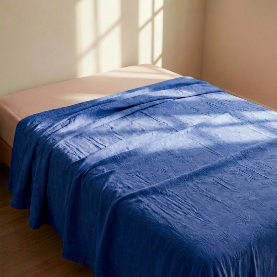 صورة بطانية فلانيل 160 * 220