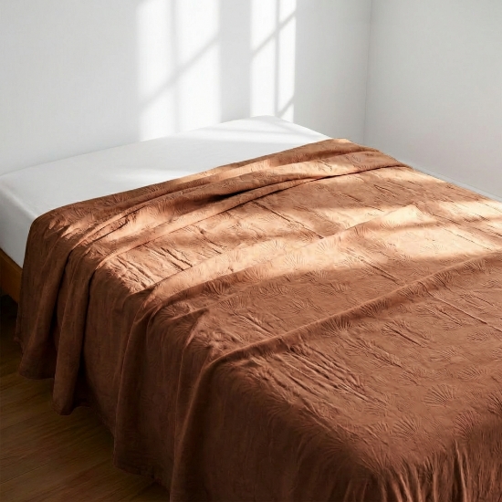 صورة بطانية فلانيل 160 * 220