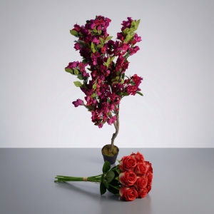 صورة لقسم اشجار و ورود زينة